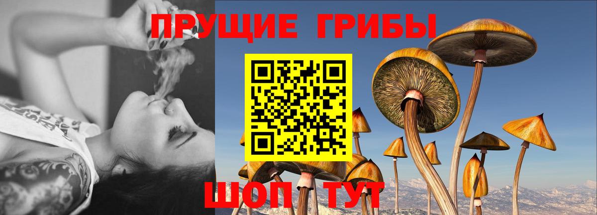 Псилоцибиновые грибы ЛСД Трёхгорный