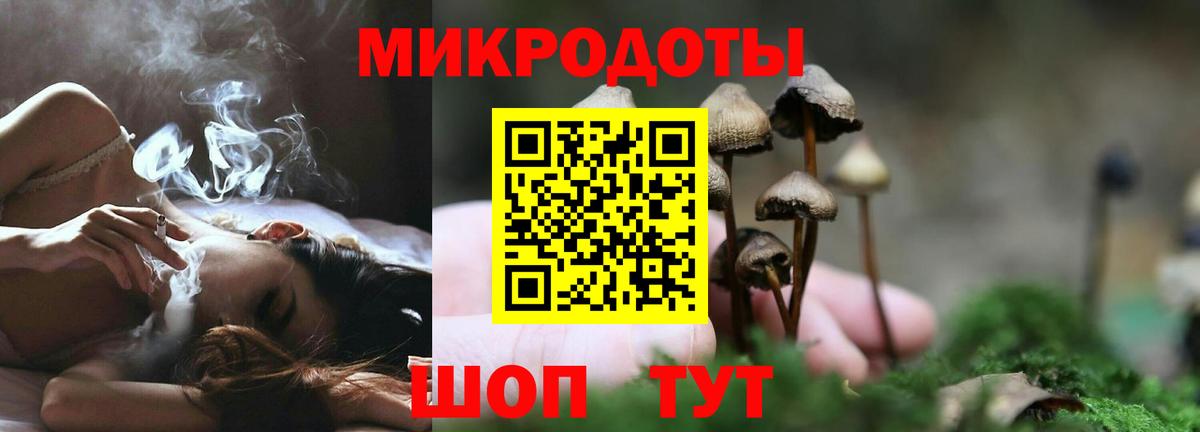 Псилоцибиновые грибы Magic Shrooms  как найти   Галлюциногенные грибы Cubensis  Трёхгорный  Вход с VPN 